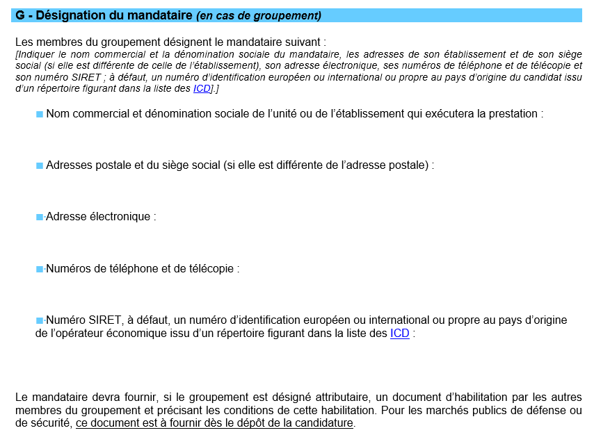 extrait du DC1 pour appel d'offre rubrique mandataire