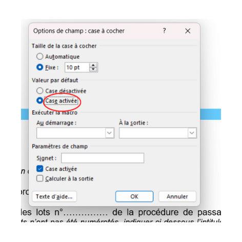 tuto pour cocher une case dans le DC1 sous word